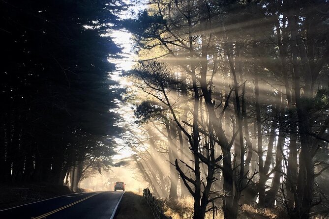 Picture Your Best SF Tour Ever! (Epic Bay Area Photo Adventures) - Secure Your Unforgettable Bay Area Tour