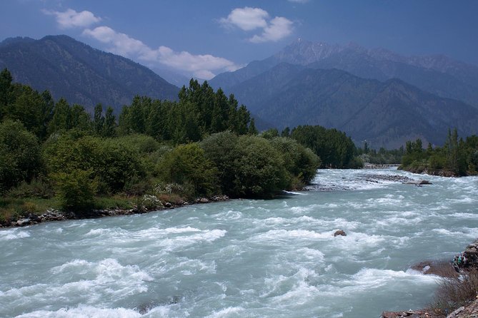Picturesque Pahalgam: a Memorable Day Trip From Srinagar - Pickup and Meeting Details
