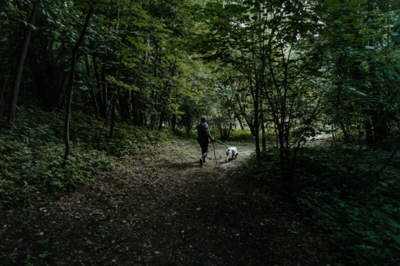 Piedmont: Private Truffle Hunting Tour With Truffle Tasting - Experience Details