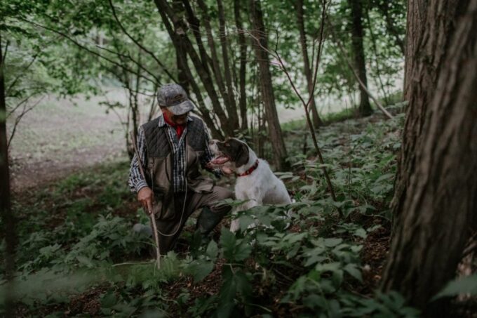Piedmont: Private Truffle Hunting Tour With Truffle Tasting - Customer Reviews