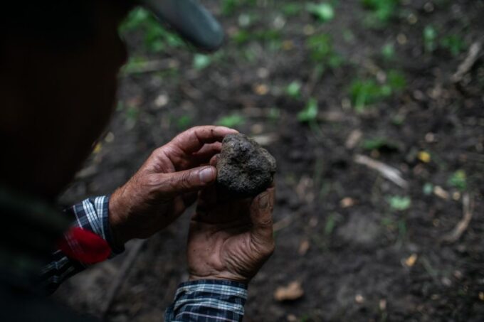 Piedmont: Private Truffle Hunting Tour With Truffle Tasting - Frequently Asked Questions