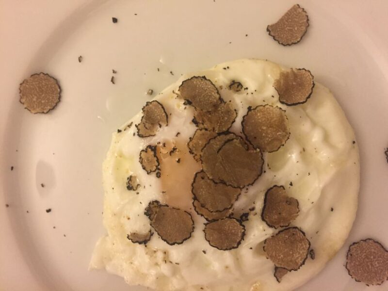 Piedmont: Truffle Hunting - Truffle Hunting History