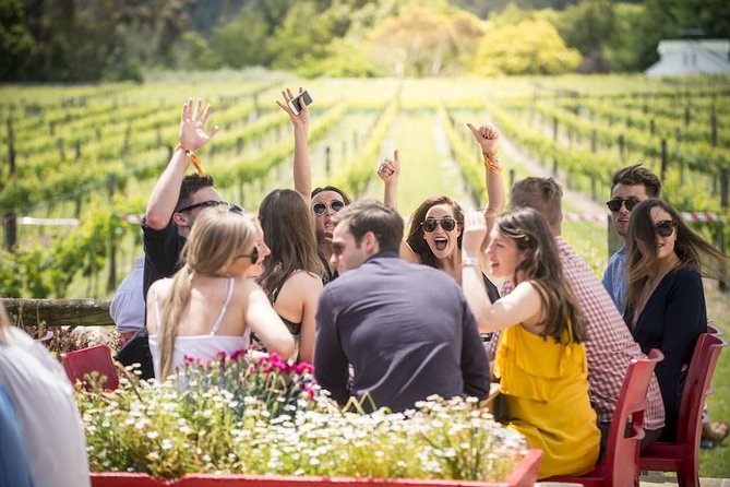 Piedmont Wine Tasting Tours Experience, Italy - Health and Safety