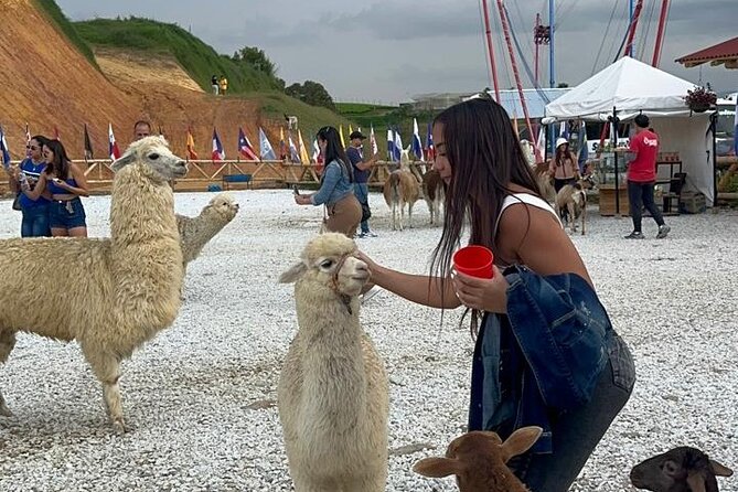 Piedra Del Peñol + El Alto Del Chocho Farm + Boat Tour - Recap