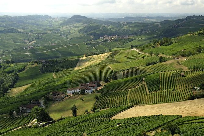 Piemonte Vineyards by Yourself From Turin - Business Car With English Chauffeur - Comfort and Convenience