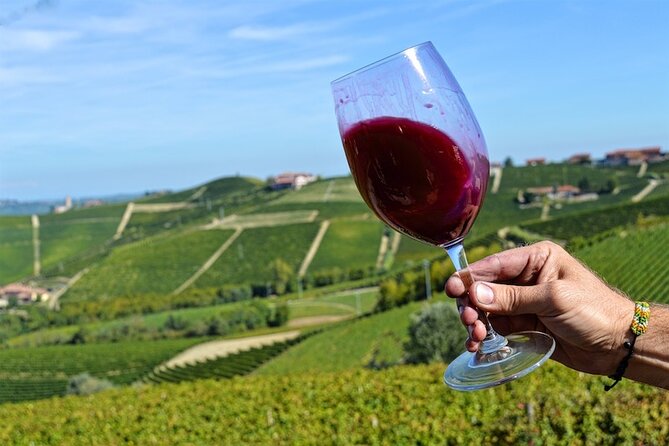 Piemonte Vineyards by Yourself From Turin by Luxury Van With English Chauffeur - Explore the Piemonte Vineyards