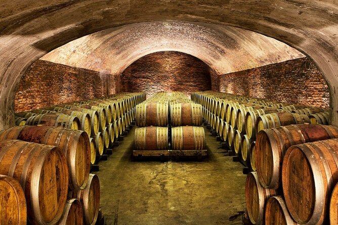 Piemonte Vineyards by Yourself From Turin by Luxury Van With English Chauffeur - Enjoy the Luxury Van Experience