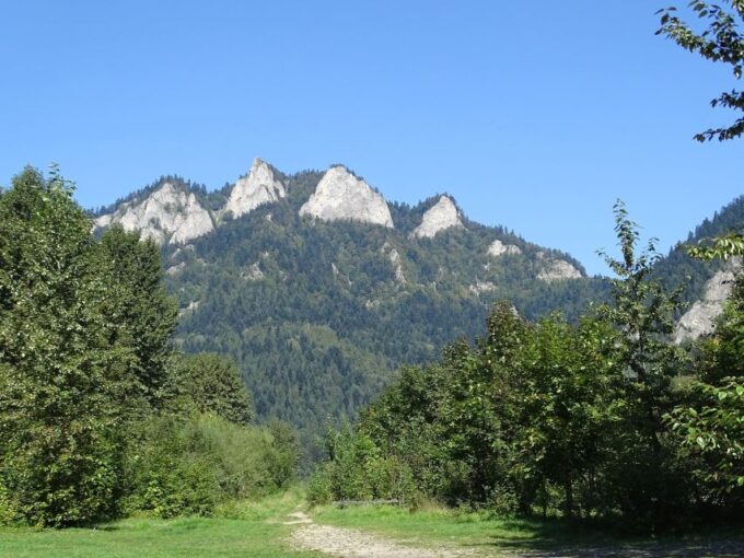 Pieniny Mountains: Hiking and Rafting Tour From Krakow - Rafting Through Dunajec River Gorge