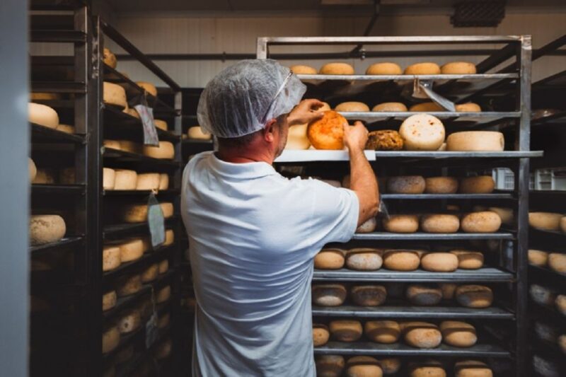 Pienza: Dairy Farm Tour With Pecorino Cheese Tasting - Key Points