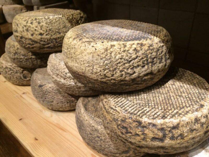 Pienza: Dairy Farm Tour With Pecorino Cheese Tasting - Cheese Tasting Experience
