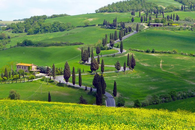 Pienza, Val Dorcia, Montalcino Wine and Pecorino Cheese PRIVATE TOUR From SIENA - Meeting and Pickup Details