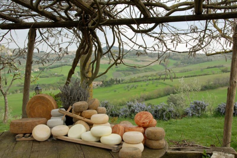 Pienza With Cheese and Wine Tasting: Full-Day From Rome - Private Driver and Guide