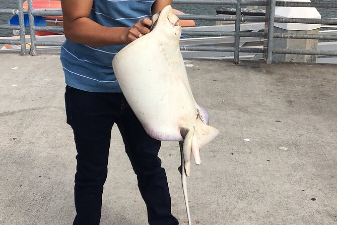 Pier Fishing Tour - San Diego - Location and Meeting Point