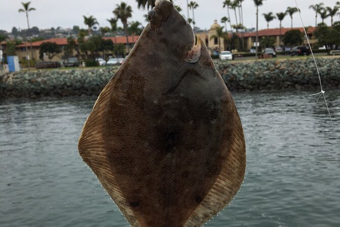 Pier Fishing Tour - San Diego - Tour Reviews and Feedback