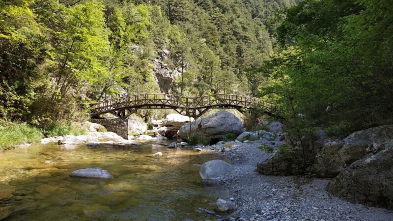 Pieria: Guided Hiking Tour in Enipeas Gorge of Mount Olympus - Highlights of the Hike