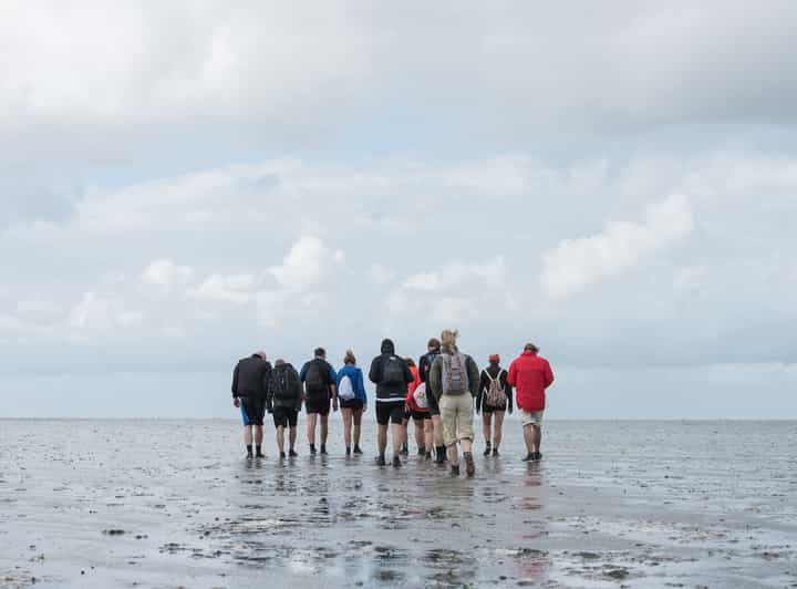 Pieterburen: Wadden Sea Mudflats Guided Walking Tour - Activity Highlights