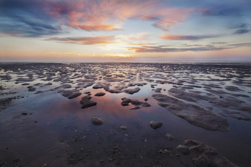 Pieterburen: Wadden Sea Mudflats Guided Walking Tour - Booking Information