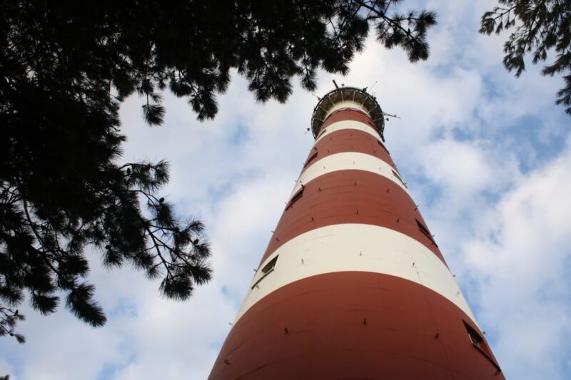 Pieterburen: Wadden Sea Mudflats Guided Walking Tour - Important Guidelines