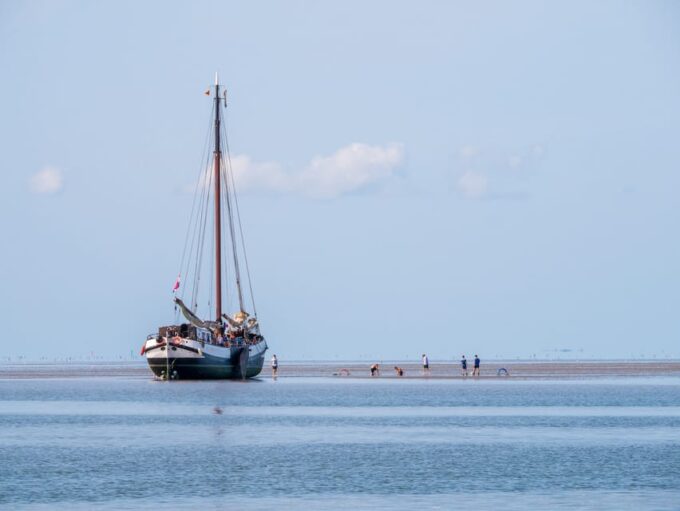 Pieterburen: Wadden Sea Mudflats Guided Walking Tour - Meeting Point