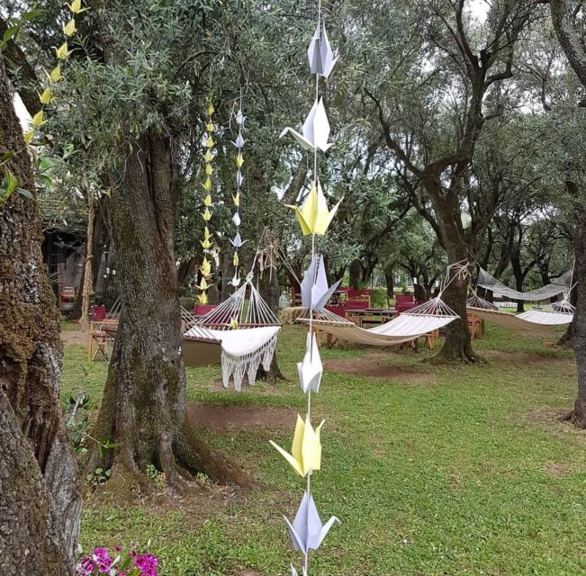PIETRASANTA: OLIVE OIL, FOOD AND WINE TASTING - Embracing Tuscan Traditions