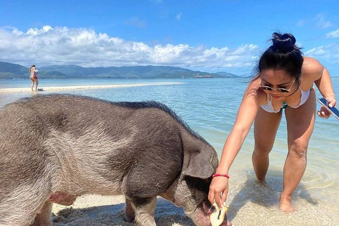 Pig Feeding, Kayaking, Snorkeling Trip at Pig Island By Speedboat From Koh Samui - Cancellation and Confirmation Policy