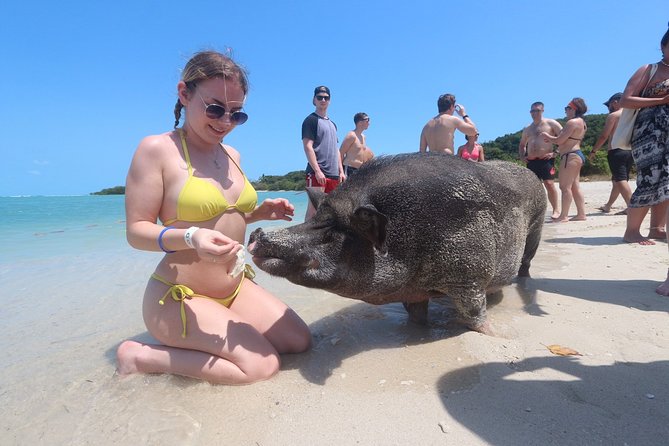 Pig Feeding, Kayaking, Snorkeling Trip at Pig Island By Speedboat From Koh Samui - Pigs and Island Attractions