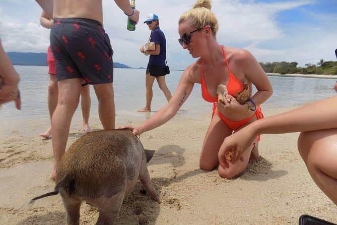 Pig Feeding, Kayaking, Snorkeling Trip at Pig Island By Speedboat From Koh Samui - Snorkeling and Kayaking Activities