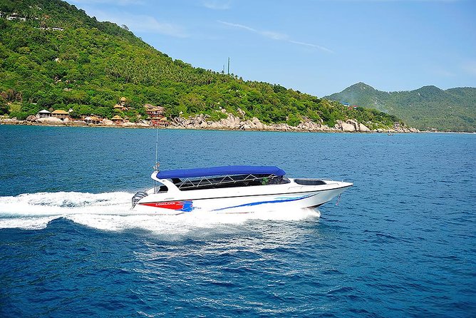 Pig Island Experience By Speed Boat, Snorkeling, Kayaking Relaxing on the Beach - Interaction With Rescued Pigs