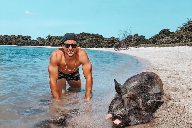 Pig Island Experience By Speed Boat, Snorkeling, Kayaking Relaxing on the Beach - Cancellation and Logistics