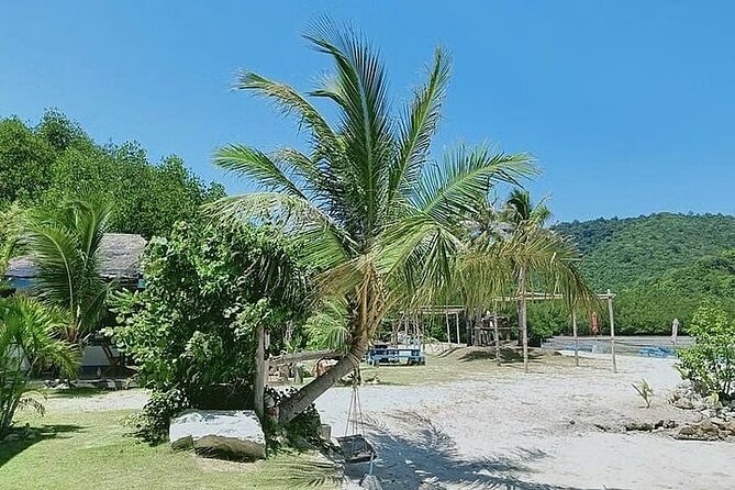 Pig Island ,Snorkeling, Private Long Tail Boat (Local Thai Experience) - Positive Experiences