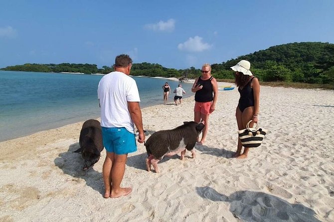 Pig Island Snorkeling & Sightseeing Tour By Speedboat From Koh Samui - Tour Highlights and Uniqueness