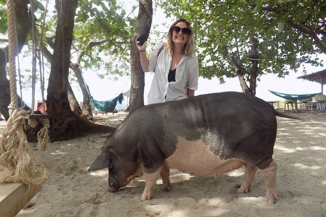 Pig Island Snorkeling & Sightseeing Tour By Speedboat From Koh Samui - Preparing for the Adventure