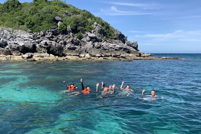 Pig Island Tour by Speedboat With Snorkeling - Animal Welfare Concerns