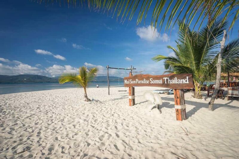 Pig Island(Koh Mudsum) and Koh Tan Half Day Snorkeling Tour - A Deep Dive into the Tour Experience