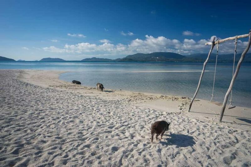 Pig Island(Koh Mudsum) and Koh Tan Half Day Snorkeling Tour - Practical Details: What You Need to Know
