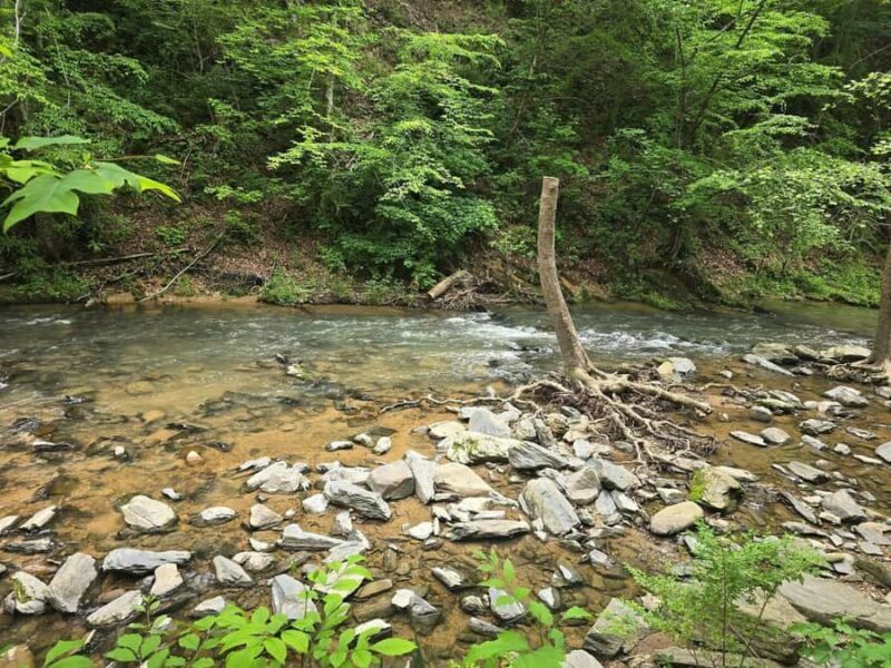 Pigeon Forge: Highlights of the Smokies Tour - Authenticity and Value