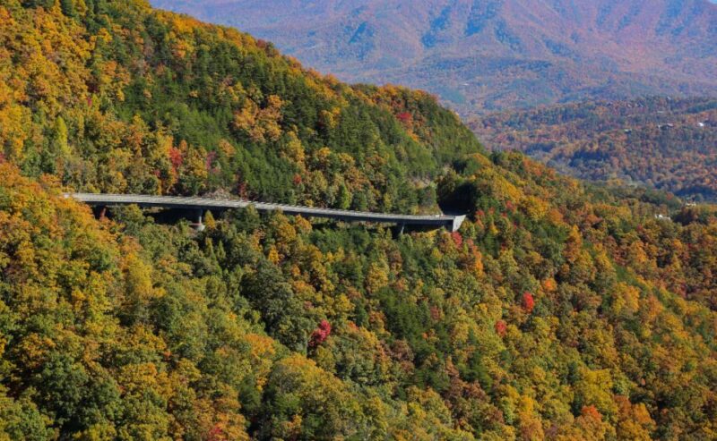 Pigeon Forge: Wears Valley Helicopter Tour - Safety and Accessibility