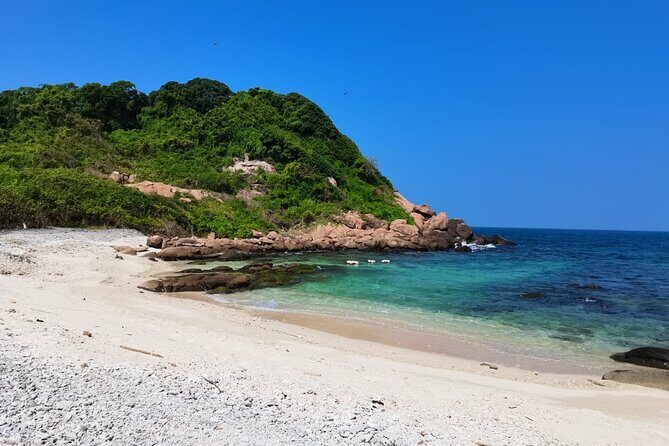 Pigeon Island Snorkeling Swim with Sharks & Turtles - Who Will Love This Tour?