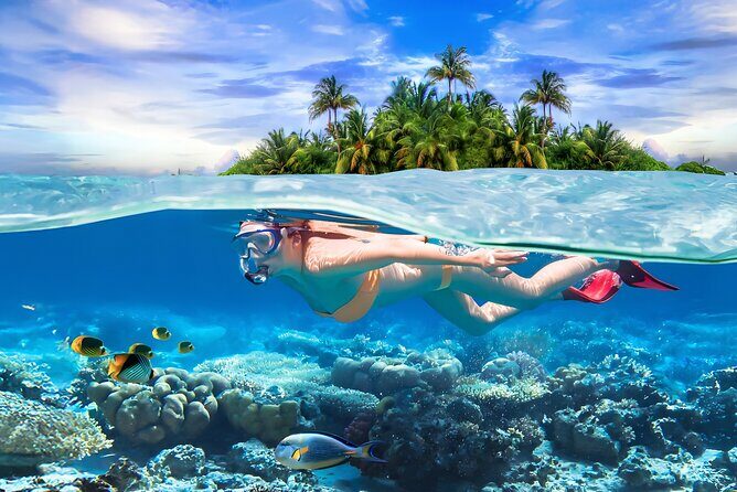 Pigeon Island Snorkeling Tour From Uppuveli Beach - Key Points