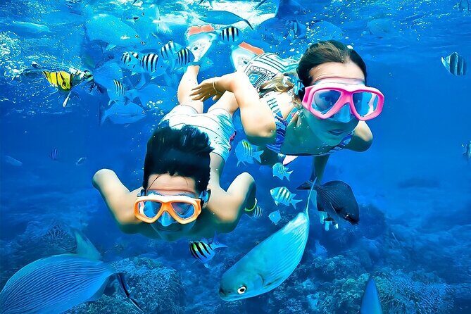 Pigeon Island Snorkeling Tour From Uppuveli Beach - A Closer Look at the Snorkeling Adventure