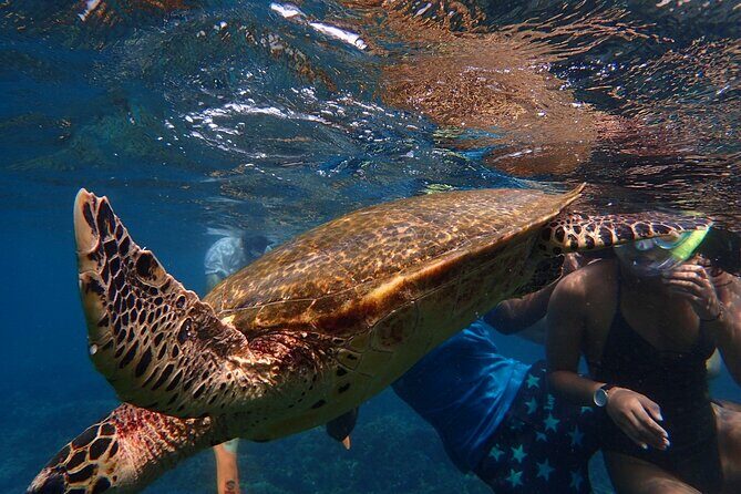 Pigeon Island Snorkeling Tour From Uppuveli Beach - FAQs