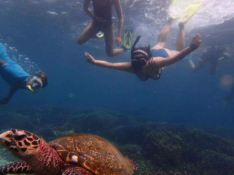 Pigeon Island Snorkeling Tour from Uppuveli Beach - An In-Depth Look at the Pigeon Island Snorkeling Experience