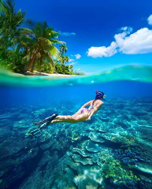 Pigeon Island Snorkeling Tour from Uppuveli Beach - Practical Tips for Your Snorkeling Day