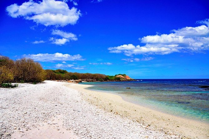 Pigeon Island Snorkeling Tour in Trincomalee - Booking Confirmation