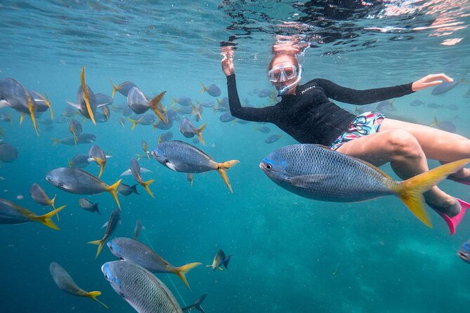 Pigeon Island Snorkeling Tour in Trincomalee - Transportation Accessibility
