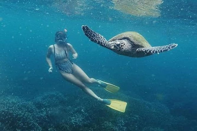 Pigeon Island Snorkeling Trip - Package Inclusions and Costs