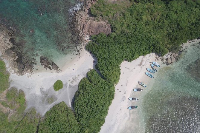 Pigeon Island Snorkeling Trip - Snorkeling Highlights