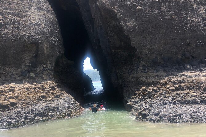 Piha Beach - Tour Highlights and Activities
