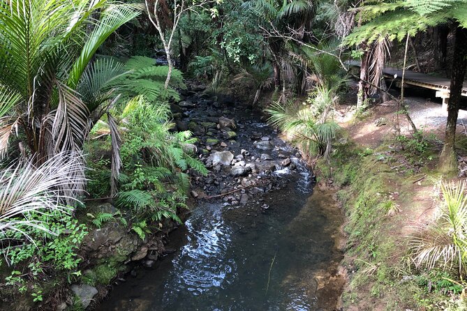 Piha Beach - Guest Reviews and Ratings