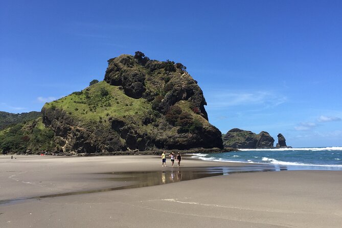Piha Waitakere Rainforest Wine Tour From Auckland - Itinerary Details